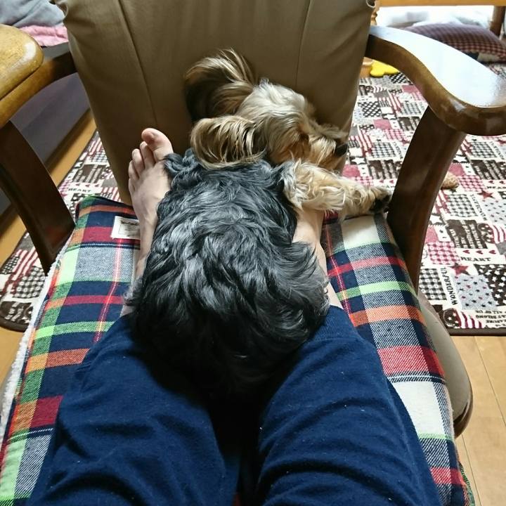 14e05df4 a6e7 405c ad08 da3925b8a73e