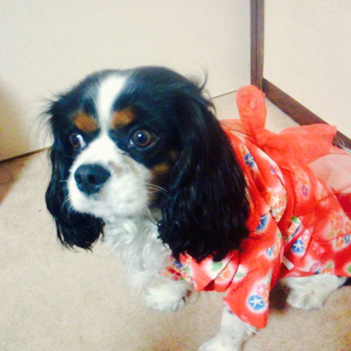 14e08dbc 9cef 499c a753 0acff313dc54