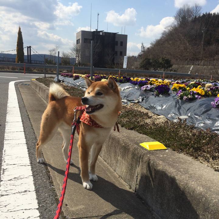 14e10d03 9ee2 494f 90df bca24e2104d3