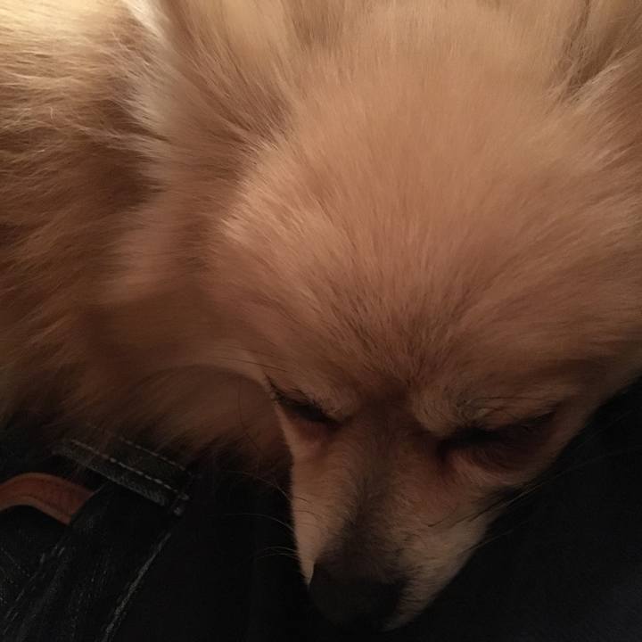 14e165df 0efc 4bd9 81a0 dfc0bf082a40