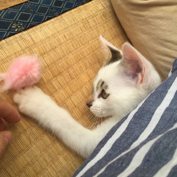 14e17263 aa20 4e95 871b 3f9601622f48