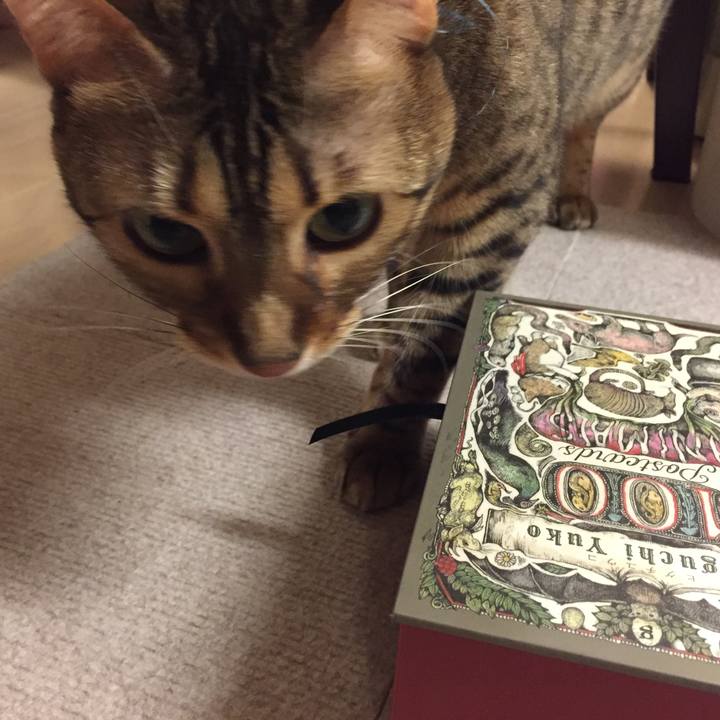 14e2bc45 5118 45a4 b6ba 7cae08123b8f