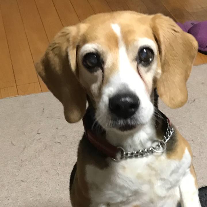 14e3b6cf 4aca 4475 9b70 509f237992ff