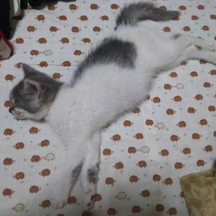 14e3cfc2 3279 4f36 8f5d da5ad8739d5e