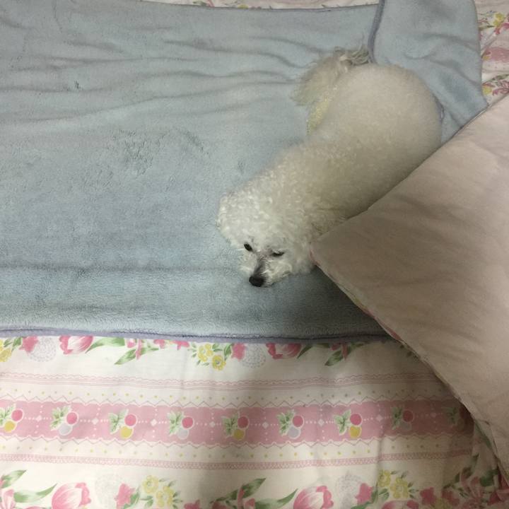 14e4daf0 34d3 4e0d a0e1 424f246832ec