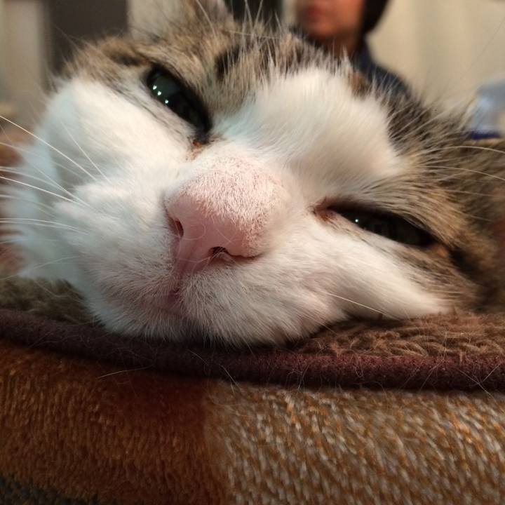 14e4ee8b 5c3b 4c7d af2f bf444bedb348