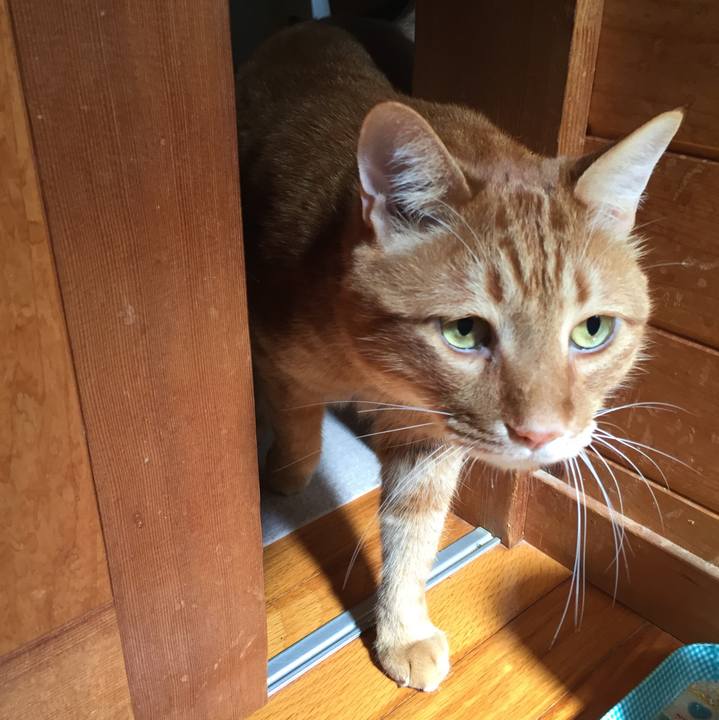 14e50ce6 7bd6 4af5 a8ac 1bb1b950eb2b