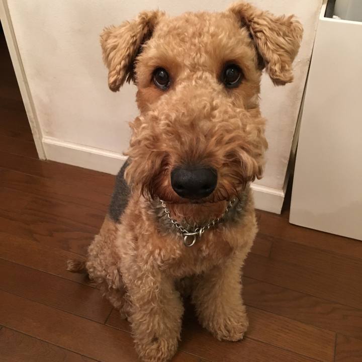 14e562a5 0813 4c50 98c8 915a88bec048