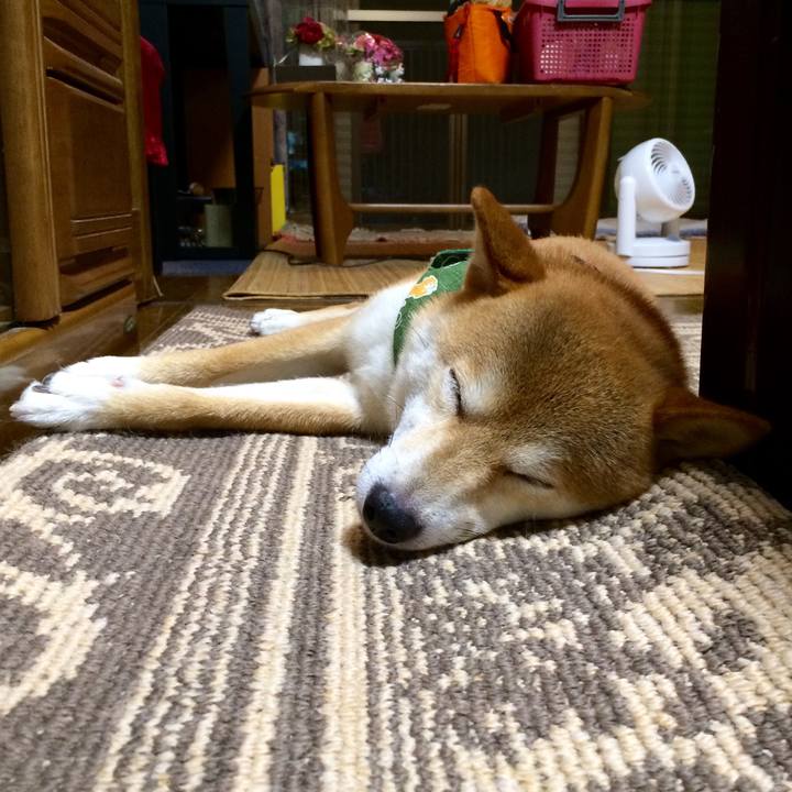 14e57813 59eb 4211 9480 7cf562cddd61