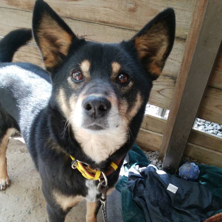 14e58b7f 0268 4263 b8e1 fb555093c812