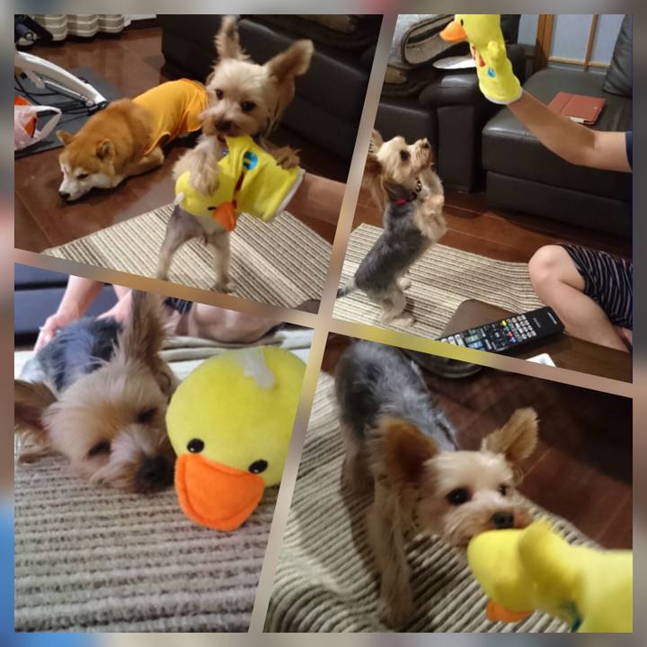 14e668af 7ff3 4acf bc61 1686cc6a437e