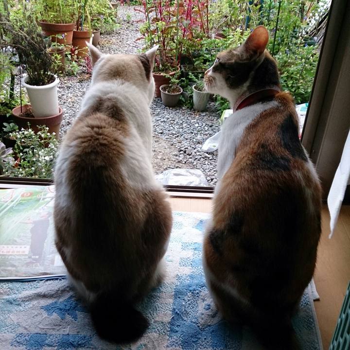 14e6990e 6b7e 4a6c b389 124248819789