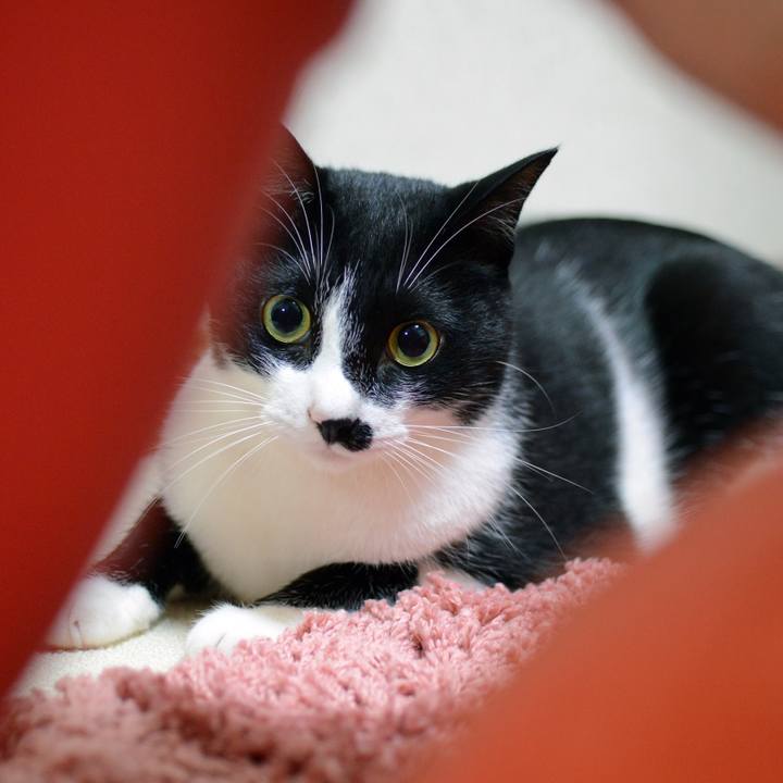 14e6d272 aa50 4f08 b142 24c9edc6fe64