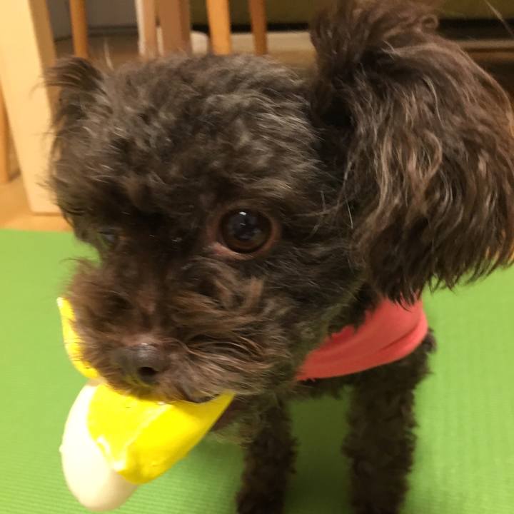 14e6e69d d8a4 4d02 83b4 13c961e9f6be