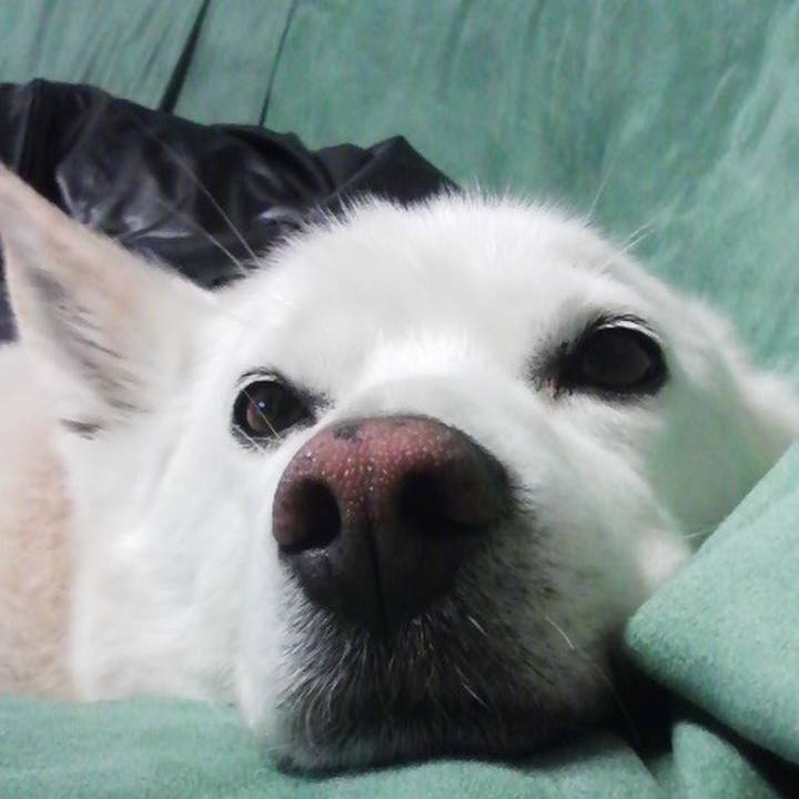 14e71df2 bd92 4ba5 aca4 cd0ad3732958