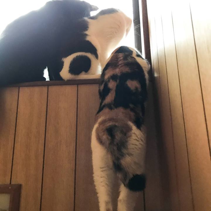 14e73431 5da7 4a74 9814 ff09a2f309cc