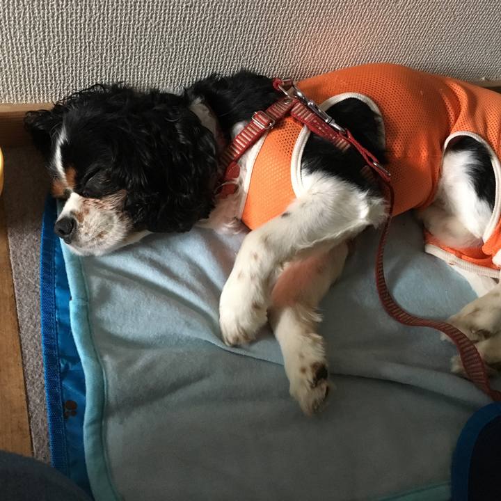 14e77b4e c0e0 4c66 9e36 94ec93dcca3b