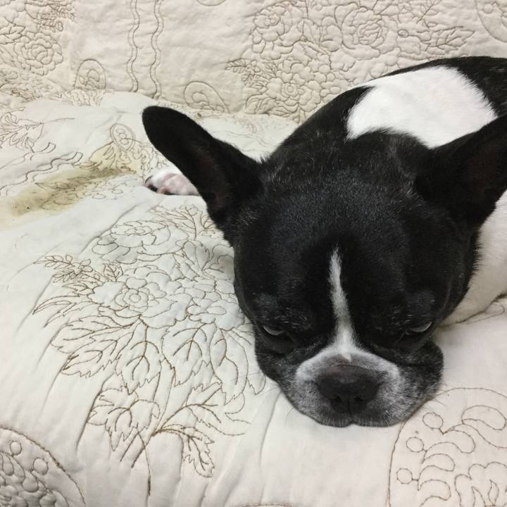 14e799fd 5baa 4d15 9d0f 0ae85b8d0939