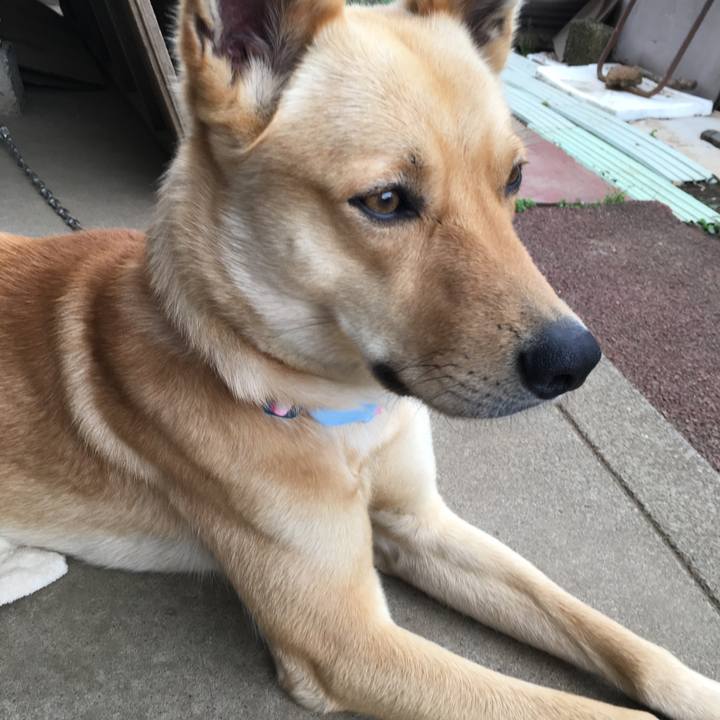 14e7f7db 58ca 478b 9d70 f7acb2ea496f