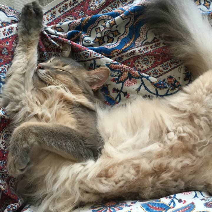 14e842e5 bd43 4bd5 9aa8 9307cb69bc55