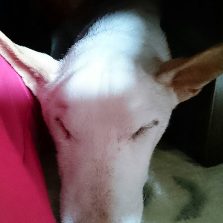 14e91e9f 5158 46c1 a5c9 7864b92a4093