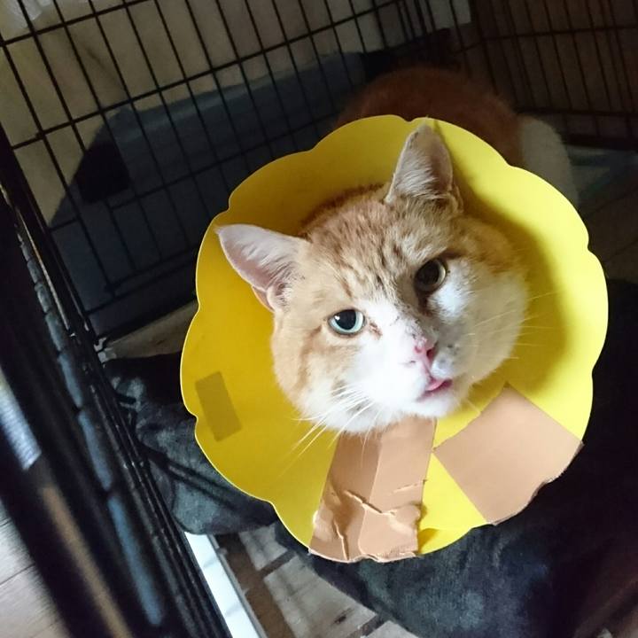 14ea2947 8c2c 452d 8503 5674a80d8a9e