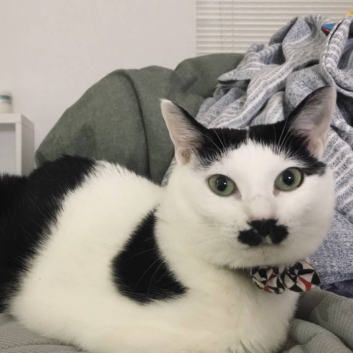 14ea3641 3bdb 48e3 b2e2 8f577e135236