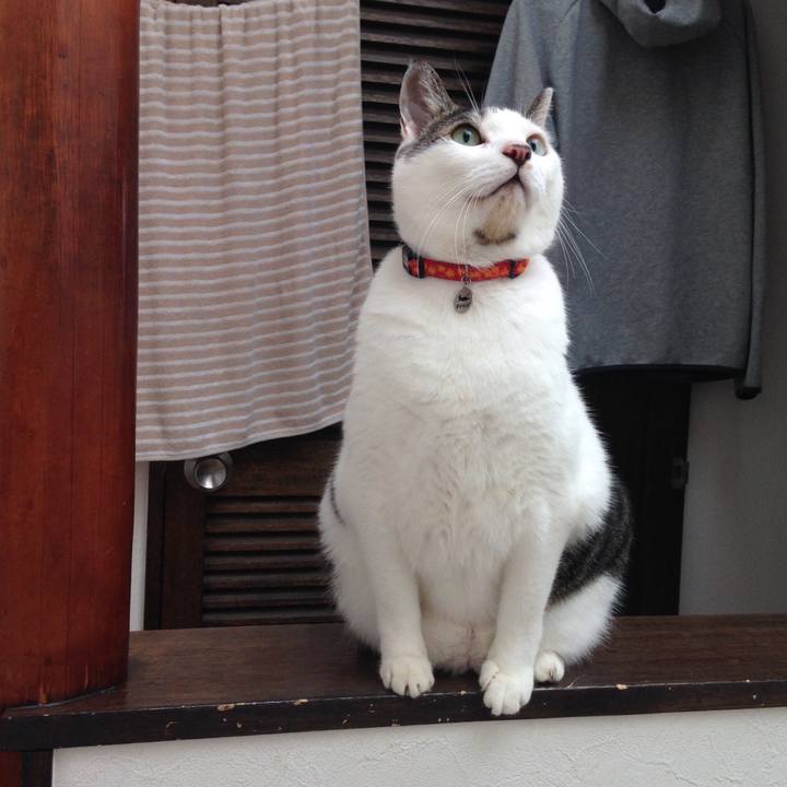 14ec5245 8b54 4b79 998a 29ef1497a973