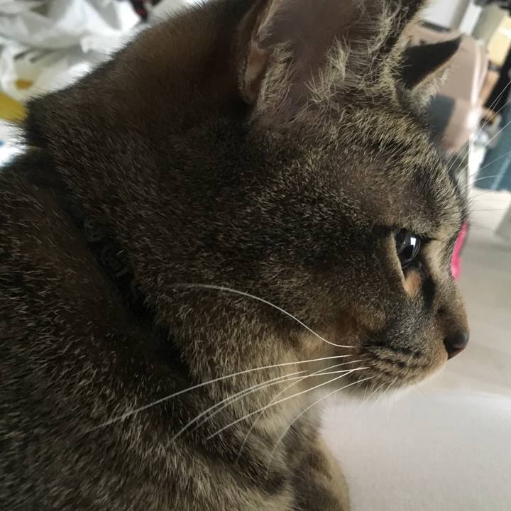 14eca680 858a 4e29 84d8 e2b3375eaa0e