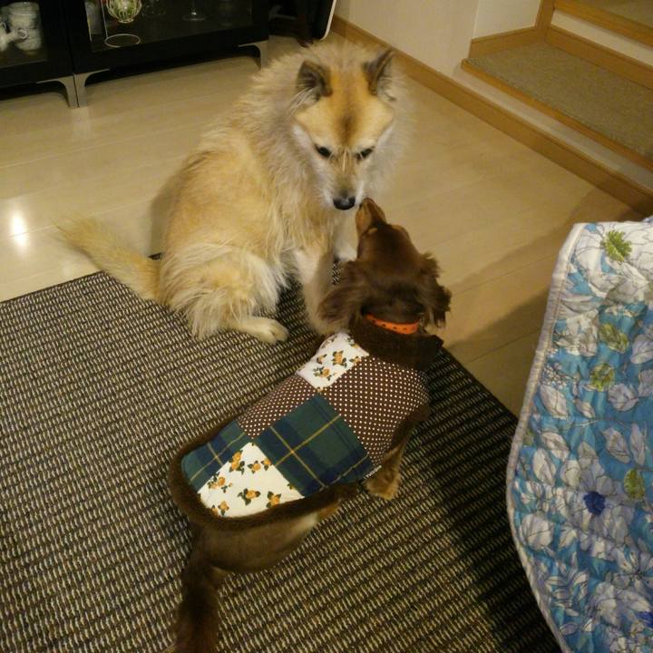 14ed00b5 b325 460e 9f1d 53286bce258c