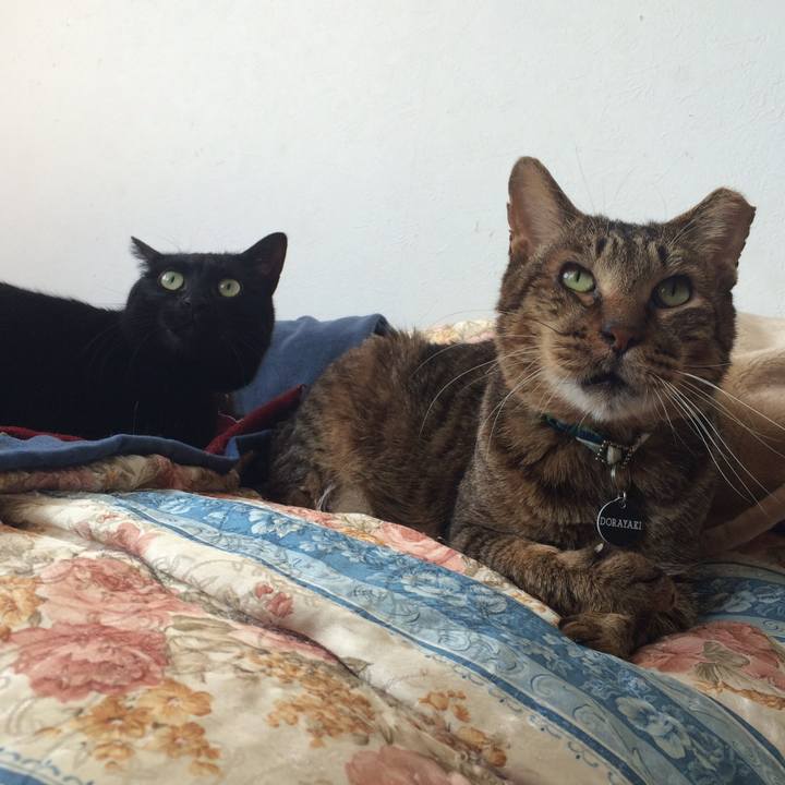 14ed74cb ab22 4829 b9de ec4e621edbed