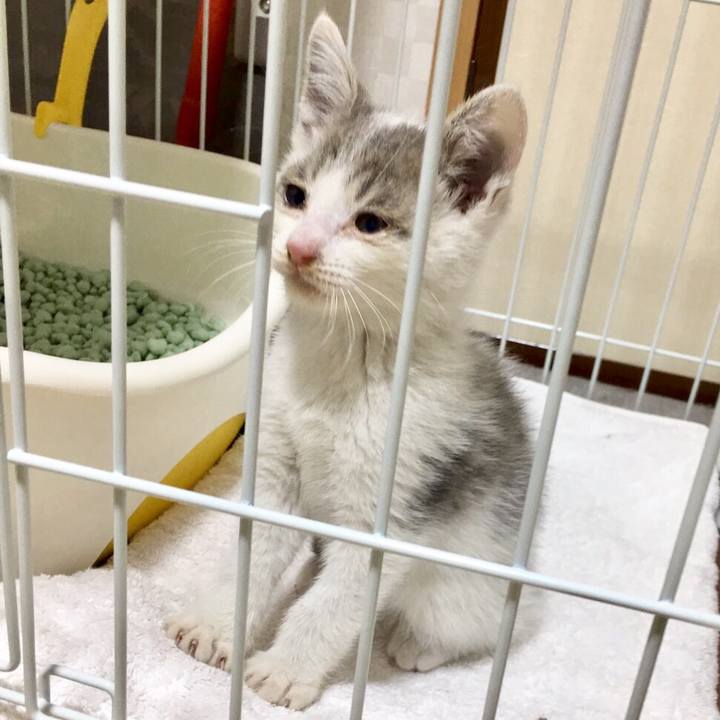 14edbc9e 789b 40be 9a28 24ce27976a74