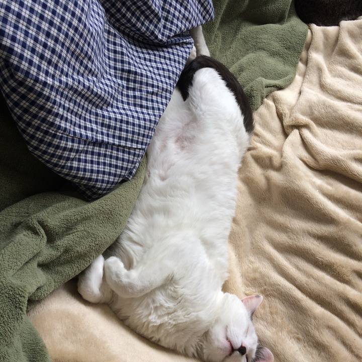 14ee5f0b 2061 4617 8c7f 521c99e2fe5b