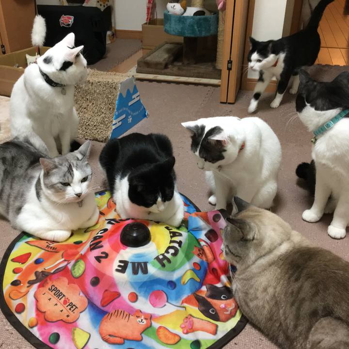 14ee65f2 715a 41b5 8106 5727f1669611