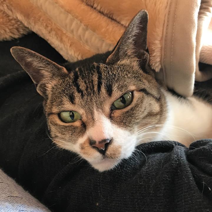 14eea8aa 4783 4763 9128 c4509361aa87