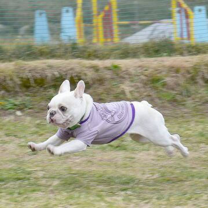 14eeb75d 98be 401b b4c4 ecca57ba44f8