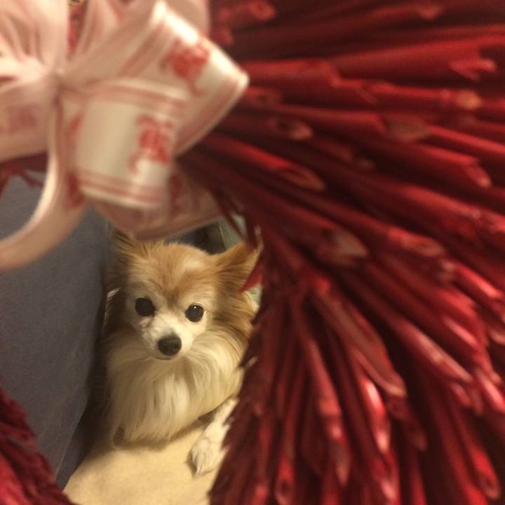 14ef2b3e f361 4e14 8ccf ae461b822b68