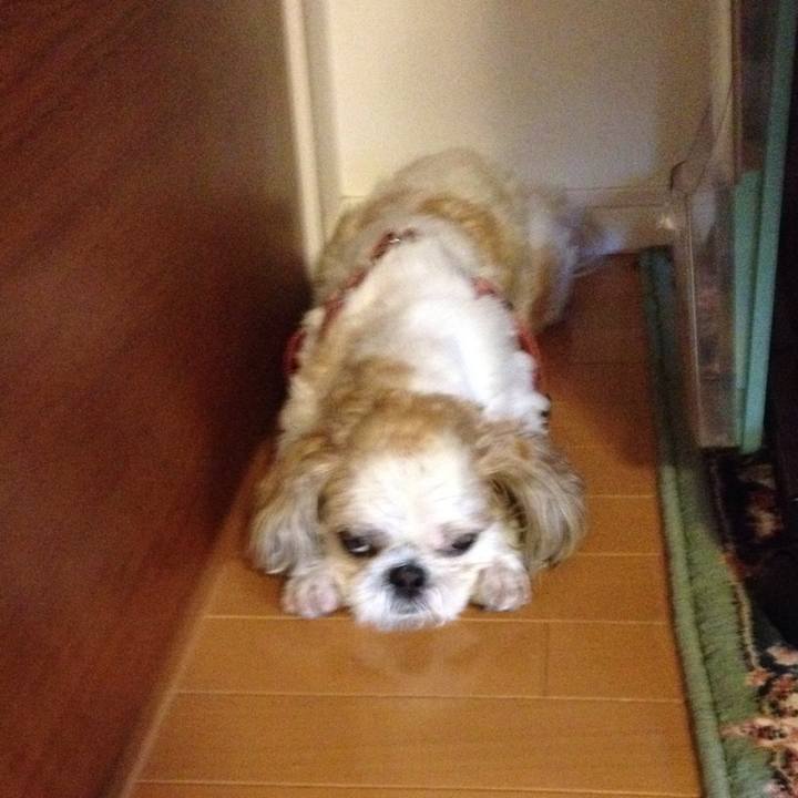 14ef4a58 67d1 40e9 a083 53946f24d853