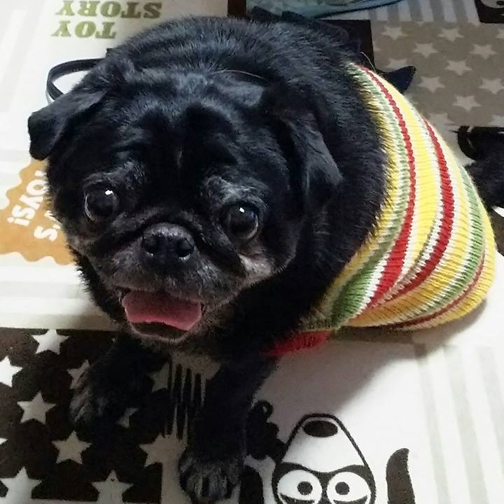 14ef8015 de90 40ea 810a d897ddffee53