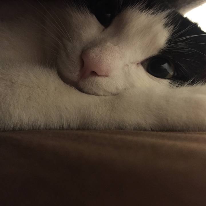 14ef8b5e 88ca 47ea a397 0dd00edb6bbf