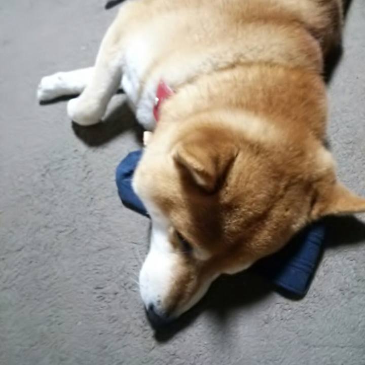 14efe328 103f 45f5 9536 5784007af829