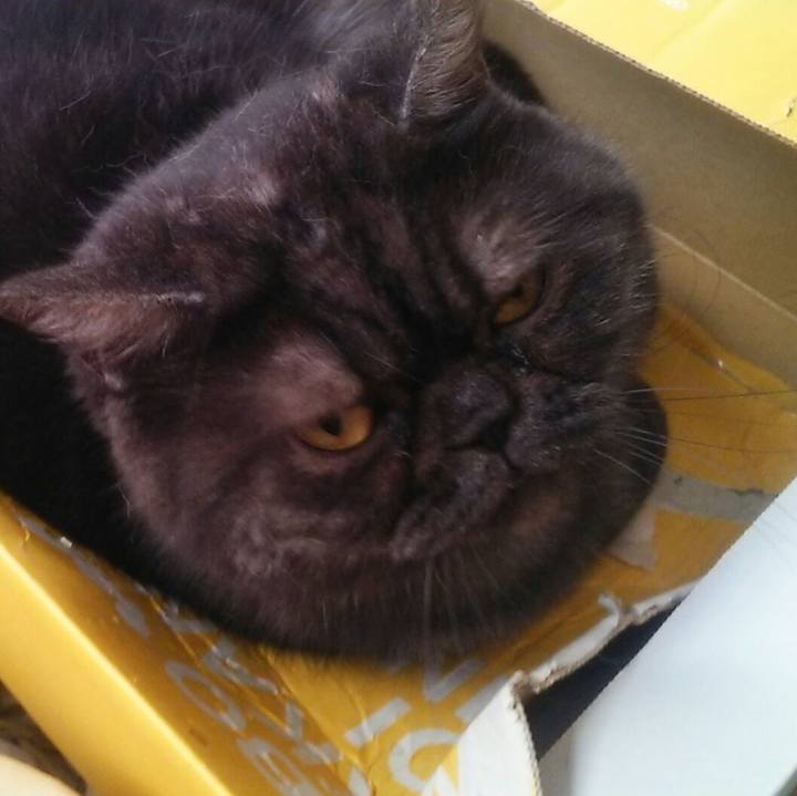 14f09357 285c 470d 8853 9e56ae027f19