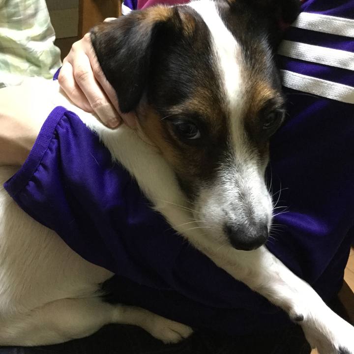 14f0d5aa 5b7c 4569 8e89 ef5d8c290add