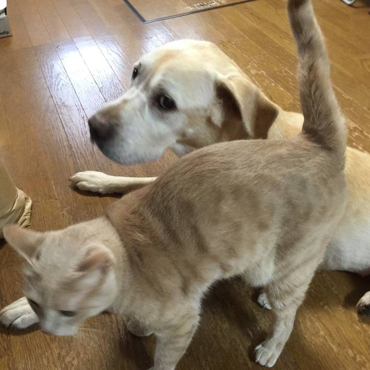 14f161fe e4a3 41ca a94f 397bcf706b9c