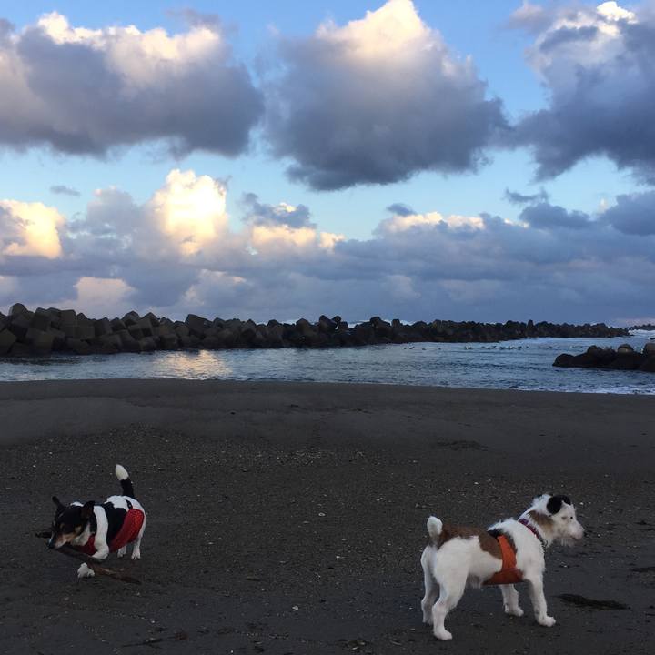 14f238c3 7c9c 43c8 bcdb 00f1b7566ba3