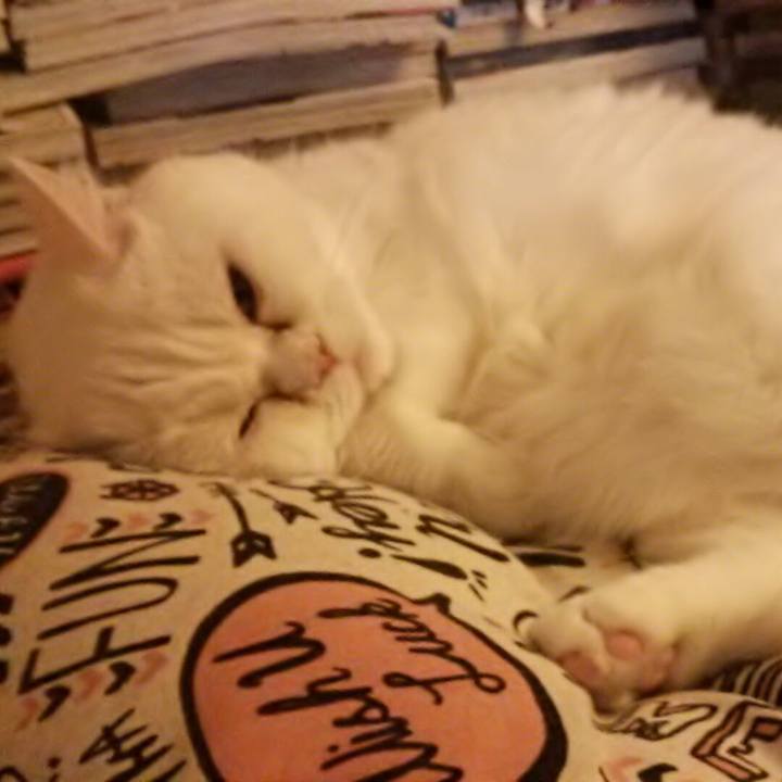 14f2650e e4b3 4e59 96c2 2d1ae78bfc07