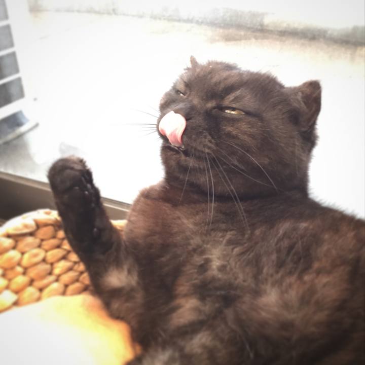 14f28a3c 93a7 4d1b 9177 96e2f1976889