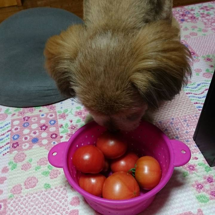 14f2e787 0481 444e 9deb 68613388a177