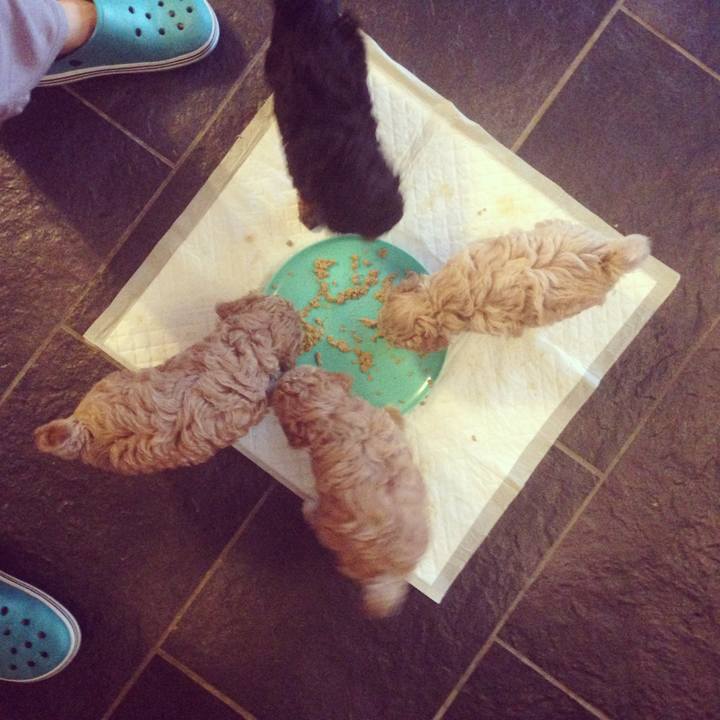 14f2e857 5206 4d05 99e6 534d50091dfd