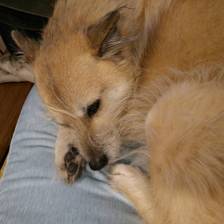 14f32093 5138 43d7 ade1 abab8c780c2c